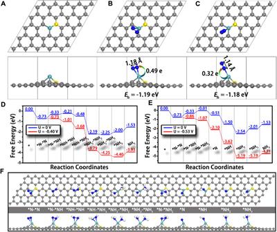 DFT-assisted low-dimensional carbon-based electrocatalysts design and mechanism study: a review